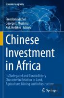 Chinese Investment In Africa
