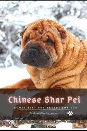 Chinese Shar Pei