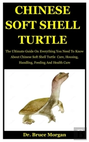 Chinese Soft Shell Turtle