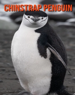 Bertrand.pt - Chinstrap Penguin