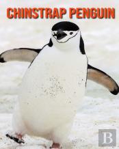 Chinstrap Penguin