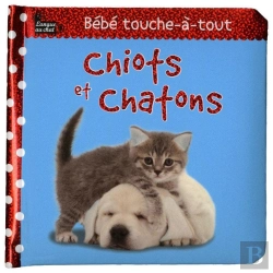 Bertrand.pt - Chiots Et Chatons