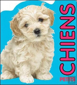 Bertrand.pt - Chiots