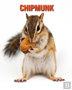 Bertrand.pt - Chipmunk