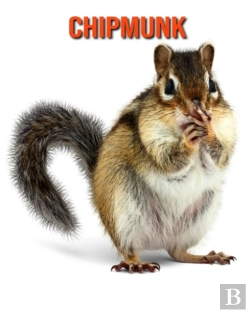 Bertrand.pt - Chipmunk