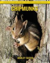 Chipmunks