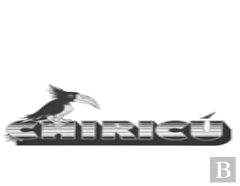 Chiricu, 1.1