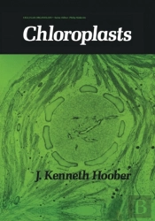 Chloroplasts
