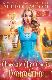 Chocolate Chip Cookie Conundrum