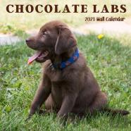 Chocolate Labs 2021 Wall Calendar