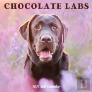 Chocolate Labs 2021 Wall Calendar