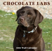 Chocolate Labs 2021 Wall Calendar