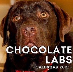 Bertrand.pt - Chocolate Labs Calendar 2021