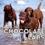 Chocolate Labs Calendar 2021