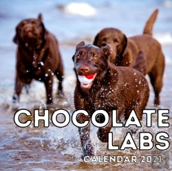 Bertrand.pt - Chocolate Labs Calendar 2021