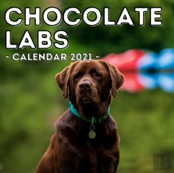 Bertrand.pt - Chocolate Labs Calendar 2021