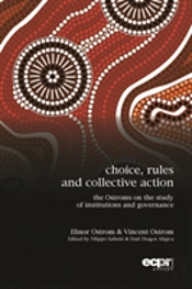 Choice, Rules And Collective Action