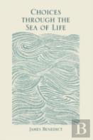 Choices Through The Sea Of Life