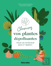 Choisissez Vos Plantes Dépolluantes Pour Un Intérieur Sain Et Serein !