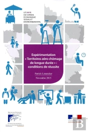 Chomage De Longue Durée Et Possibilité D'Expérimentation Territoriale