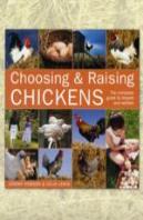 Choosing And Raising Chickens