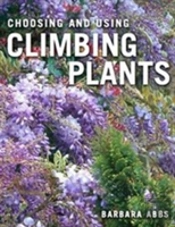 Choosing And Using Climbing Plants