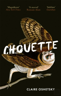 Bertrand.pt - Chouette