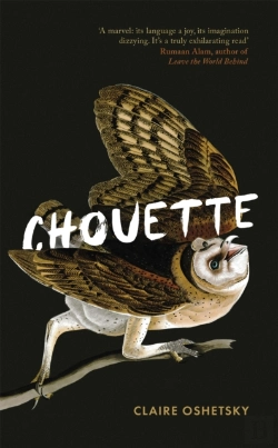 Bertrand.pt - Chouette