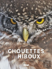 Chouettes Et Hiboux
