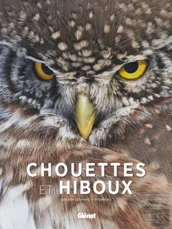 Bertrand.pt - Chouettes Et Hiboux