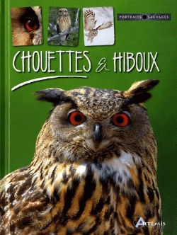 Bertrand.pt - Chouettes Et Hiboux