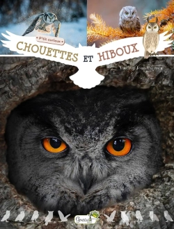 Bertrand.pt - Chouettes Et Hiboux