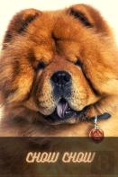 Chow Chow