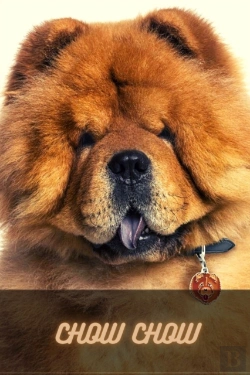 Bertrand.pt - Chow Chow