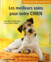 Choyer Son Animal Domestique ; Les Meilleurs Soins Pour Votre Chien