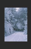 Christmas At Longsands