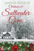 Christmas At Saltwater Cove