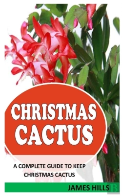 Bertrand.pt - Christmas Cactus