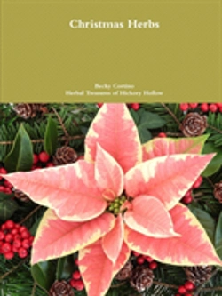 Bertrand.pt - Christmas Herbs