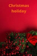 Christmas Holiday