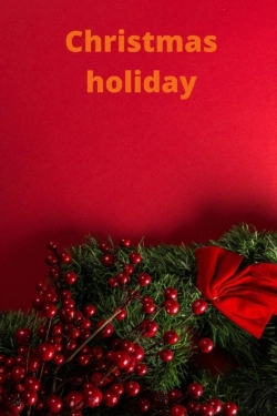 Bertrand.pt - Christmas Holiday