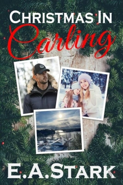 Bertrand.pt - Christmas In Carling