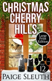 Christmas In Cherry Hills