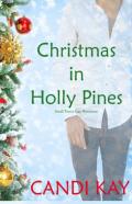 Christmas In Holly Pines (Small Town Gay Romance)