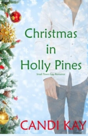 Christmas In Holly Pines (Small Town Gay Romance)