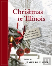 Christmas In Illinois
