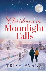 Christmas In Moonlight Falls