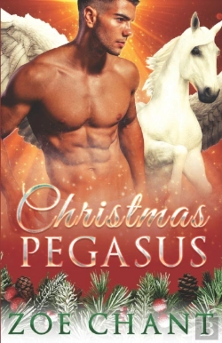 Bertrand.pt - Christmas Pegasus
