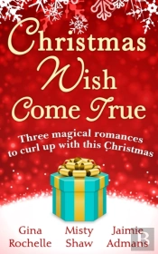 Christmas Wish Come True