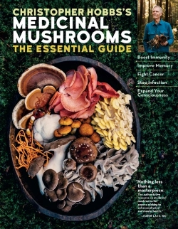 Bertrand.pt - Christopher Hobbs'S Medicinal Mushrooms: The Essential Guide
